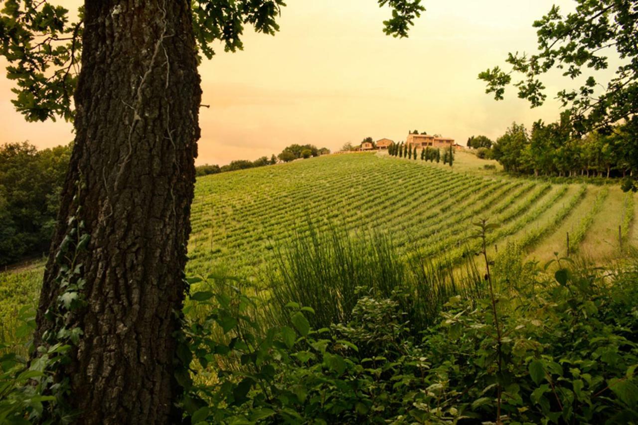 Casali Di Casole - Timbers Tuscany กาโซเล เดลซา ภายนอก รูปภาพ
