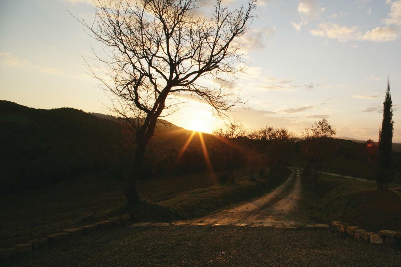 Casali Di Casole - Timbers Tuscany กาโซเล เดลซา ภายนอก รูปภาพ